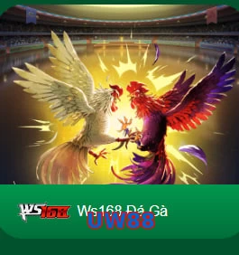 UW88